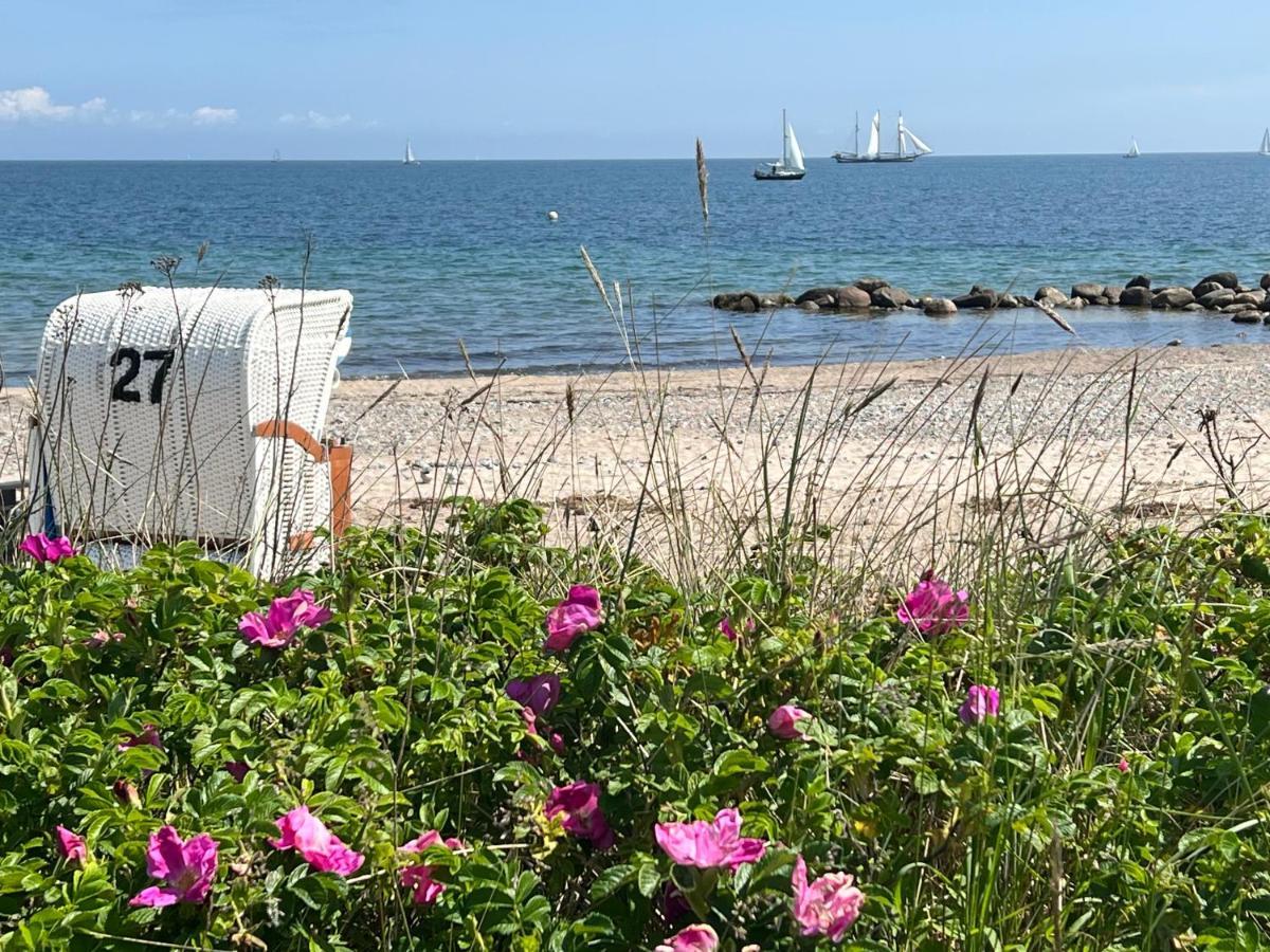 Seelund - Meeresrauschen Lauschen - Ruhiges Sonniges Apartment Mit Garten Und Terrasse Nahe Strand Und Ostsee Schönhagen エクステリア 写真